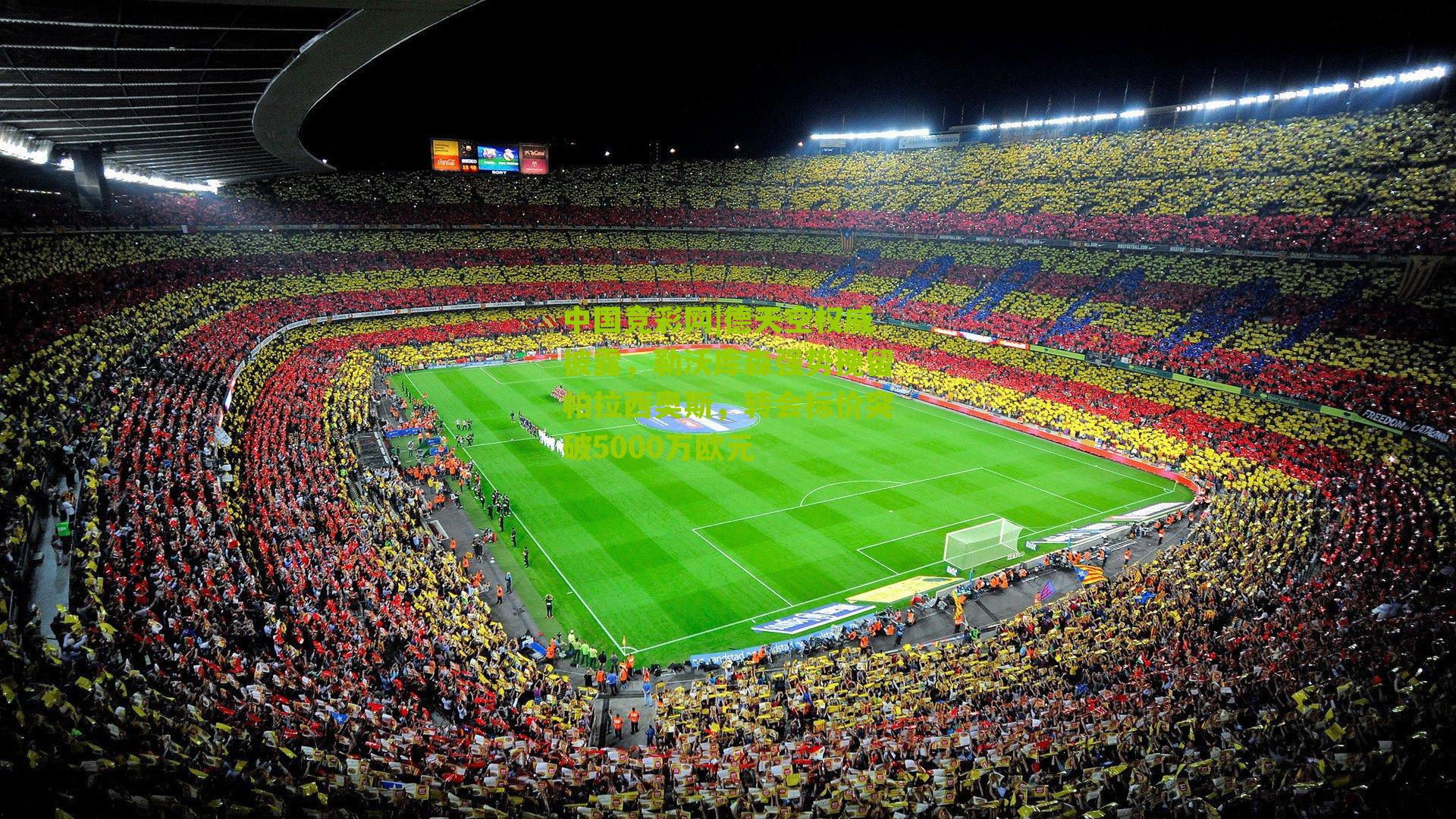 德天空权威披露,勒沃库森强势挽留帕拉西奥斯,转会标价突破5000万欧元