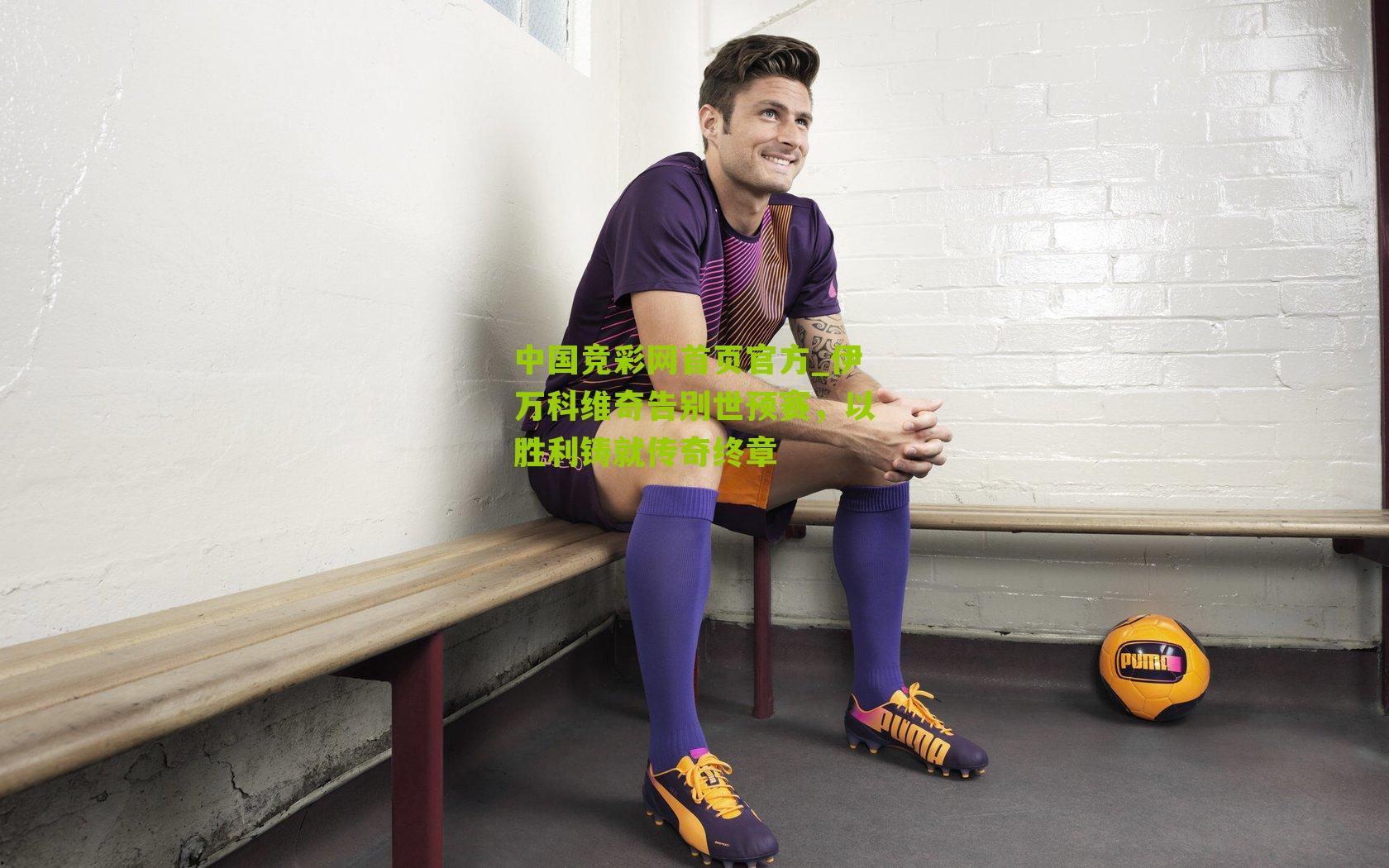 伊万科维奇告别世预赛,以胜利铸就传奇终章