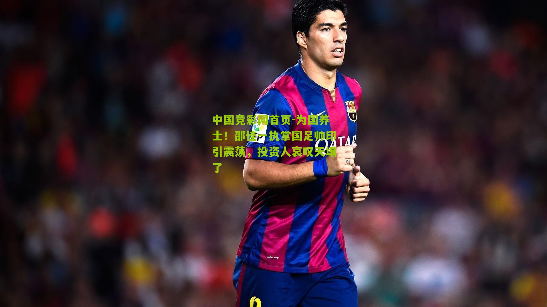 为国养士!邵佳一执掌国足帅印引震荡,投资人哀叹天塌了