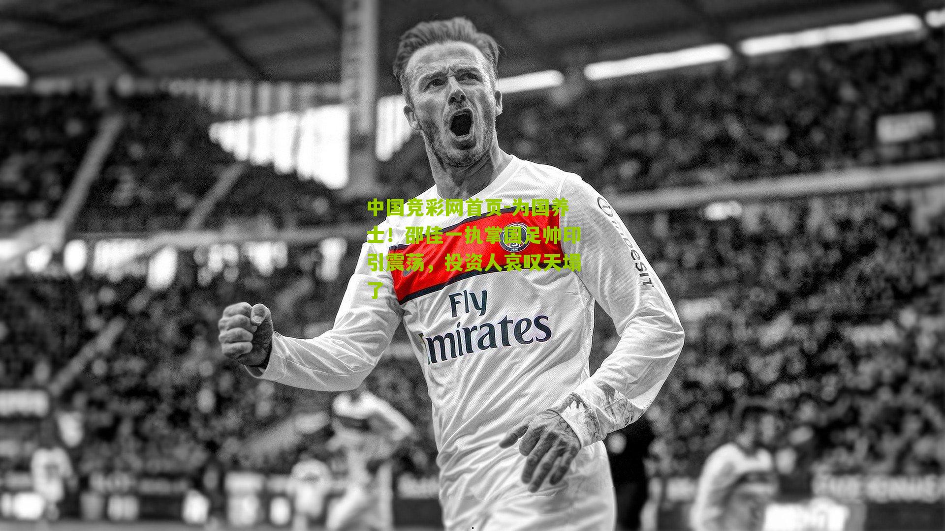 为国养士!邵佳一执掌国足帅印引震荡,投资人哀叹天塌了